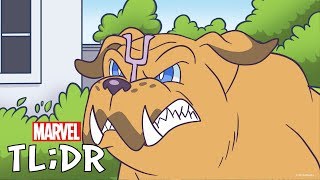 Pet Avengers  Marvel TLDR [upl. by Auqenahs422]