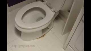 Watch This Video If You Have Water Leaking at Bottom of Toilet – Home Repair Tips [upl. by Nodnol]