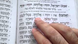 Practice reading the Shema [upl. by Noivart660]