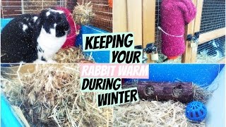 Keeping Your Rabbit Warm During Winter  RosieBunneh [upl. by Eldin]