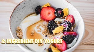 How To Make Your Own Yogurt With 2 Ingredients [upl. by Ilyse280]