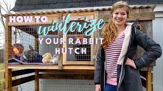 How To Winterize Your Rabbit Hutch [upl. by Leahcimaj]