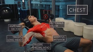 Exercise Anatomy Chest Workout  Pietro Boselli [upl. by Grimaud461]