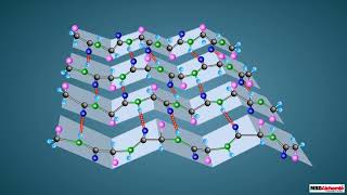 Proteins and their Structure [upl. by Sasha188]