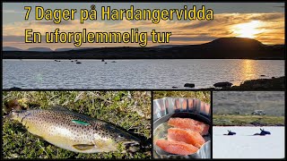 Hardangervidda  Fisketur  Sant [upl. by Artinahs]