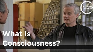 David Chalmers  What is Consciousness [upl. by Jit]