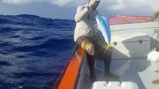 FAD Fishing in Anguilla May 2020 [upl. by Amesari187]