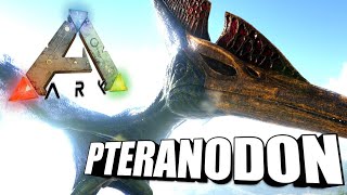 Taming A Pteranodon  Ark Survival Evolved  The Island [upl. by Ztirf]