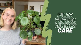 Pilea Peperomioides care 🌱  Watering propagation common problems [upl. by Elmajian]