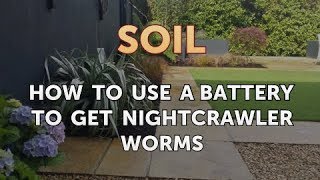 How to Use a Battery to Get Nightcrawler Worms [upl. by Caine65]