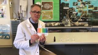 Universal indicator colour changes in an acid base and water [upl. by Vander718]