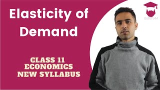 Elasticity of Demand in Nepali  New Syllabus  Class 11  Economics [upl. by Trebornhoj]