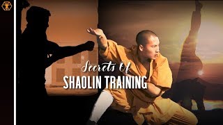 SHAOLIN TRAINING Methods Explained  Myth vs Reality  Legendary Training Series [upl. by Tabatha99]