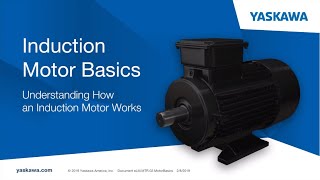 Motor Basics [upl. by Tuchman74]