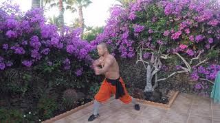 Shaolin Monk Traditional Power Workout [upl. by Noletta68]