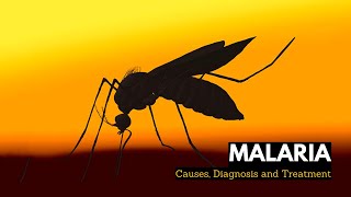 Malaria Treatment and Prevention [upl. by Atiek]