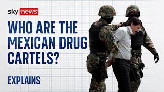 Who are the Mexican drug cartels [upl. by Helga167]