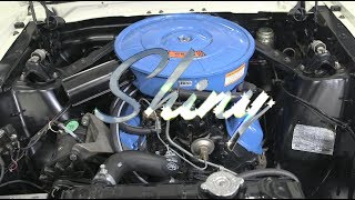 Shiny  How to Clean Your Engine Bay [upl. by Frohne]