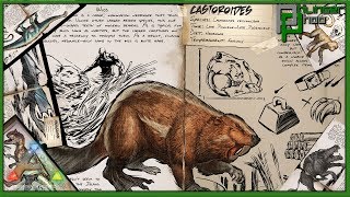 Ark Basics  Castoroides  Beaver  EVERYTHING YOU NEED TO KNOW [upl. by Lleze]