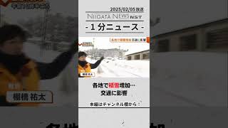 各地で積雪増加…交通に影響 新潟 雪 天気 [upl. by Zaremski]