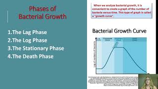 Microbial Nutrition and Growth [upl. by Margetts]