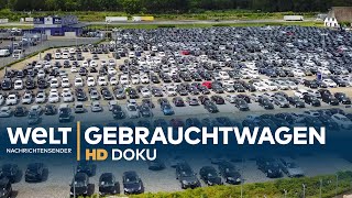 Heiligs Blechle  Deutschlands größter Gebrauchtwagenhandel  Doku [upl. by Adlig]