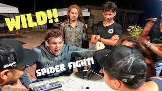 Filipino SPIDER FIGHTING Is Wild PHILIPPINES FUN [upl. by Negah470]