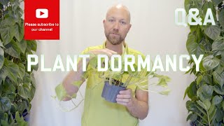 Plant Dormancy  why and how does it work [upl. by Steffane]