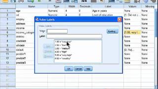 Spearman Correlation  SPSS part 1 [upl. by Cleo]