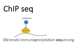 ChIP seq  Chromatin Immunoprecipitation sequencing [upl. by Petta]