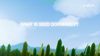 What is seed dormancy [upl. by Torbert128]