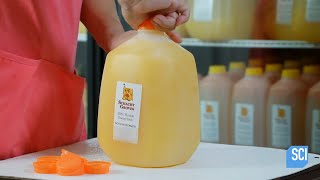 How Its Actually Made  Orange Juice [upl. by Silbahc526]