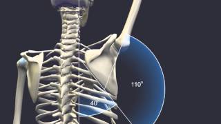 Scapulohumeral Rhythm [upl. by Bobbi]