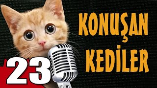 Konuşan Kediler 23  En Komik Kedi Videoları [upl. by Aznerol]