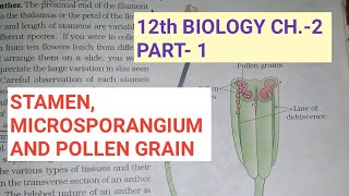 Class 12 biology chapter2 Part1 sexual rep in flower plantsStamensStudy with Farru [upl. by Endor]