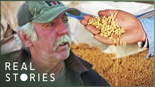 The Farmer Who Took On Monsanto David Vs Goliath Documentary  Real Stories [upl. by Gerhardine]