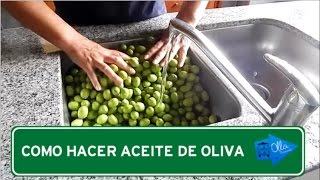 Como Hacer Aceite de Oliva  Olla Itinerante [upl. by Bonni947]