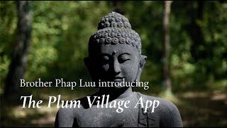 Plum Village App Introduction  Brother Phap Luu [upl. by Ttevi622]