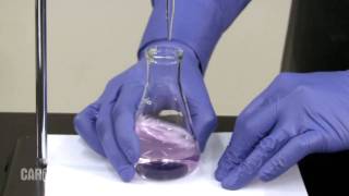 Setting up and Performing a Titration [upl. by Bigg]