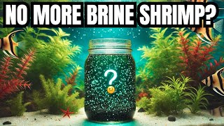 HOW amp Why THIS Is Better Than BRINE SHRIMP For Your Fish [upl. by Aissyla]