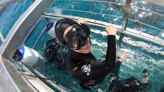 Shark Cage Diving in South Africa [upl. by Harleigh]