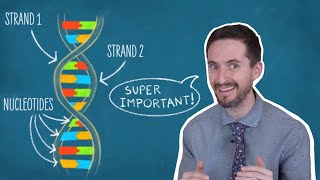 Clint Explains DNA Base Pairing Rules [upl. by Croydon714]