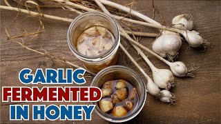 🐝🧄 How To Make Garlic Fermented In Honey Recipe [upl. by Lamarre]