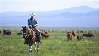 The Last Cowboy at Pine Creek Ranch [upl. by Mima]