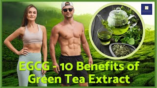 EGCG  10 Benefits of Green Tea Extract [upl. by Ellinger]