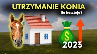 ILE KOSZTUJE UTRZYMANIE KONIA W 2023 [upl. by Lipp]