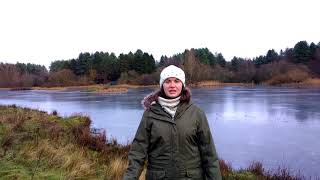 Volunteering at Tentsmuir National Nature Reserve [upl. by Pavier781]