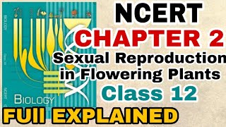 NCERT Ch2 Sexual Reproduction in Flowering plants class 12 Biology Full Explanation For BOARDSNEET [upl. by Ythomit605]