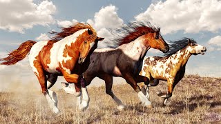 Wild Horses Natures Survivors in North America [upl. by Engel]