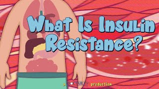 What is Insulin Resistance [upl. by Camey]